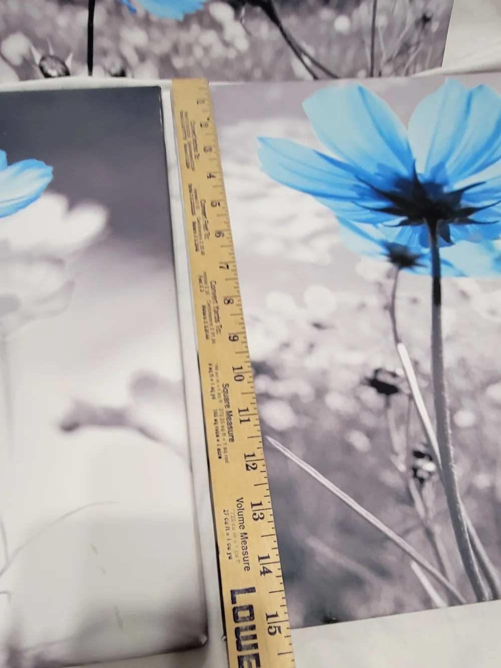 Blue Flower Canvas Print 3 Piece Set, Black/White Background, Ready to Hang